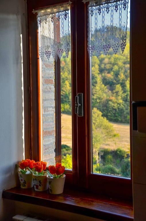 Farm stay Cailuca *