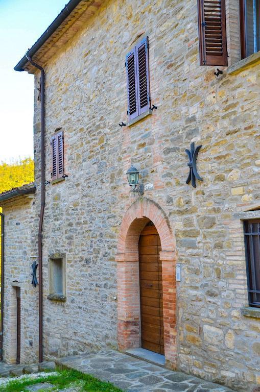 Cailuca